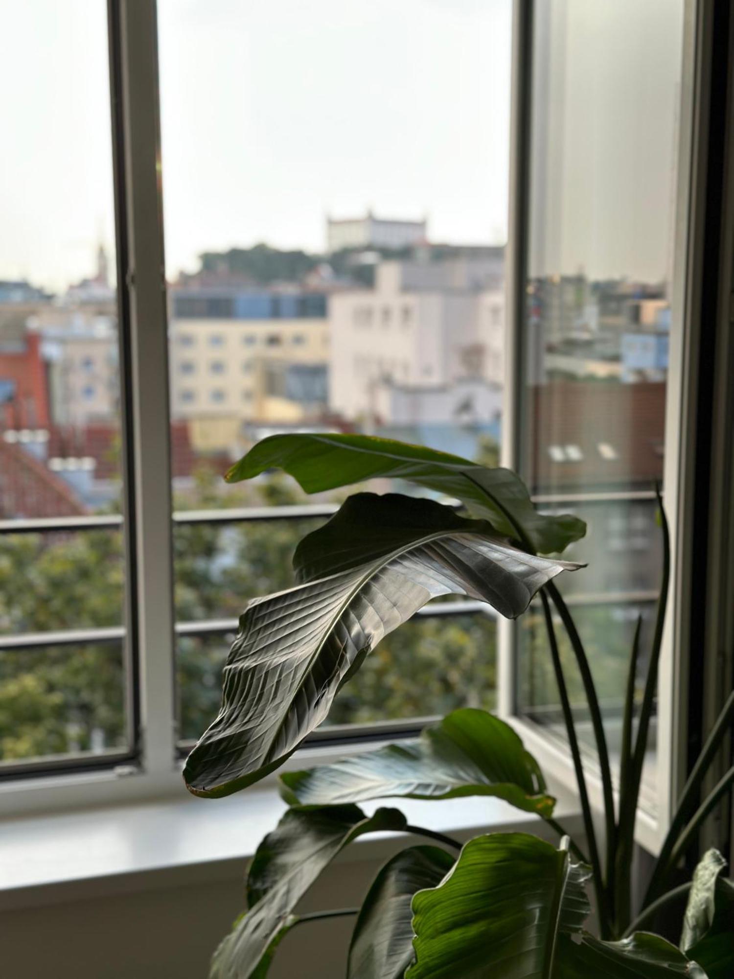 Urban Zenhouse No.2 - Breakfast Included Apartment Bratislava Ngoại thất bức ảnh